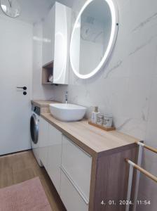 y baño con lavabo y lavadora. en Lumani Apartment Zagreb with FREE Parking, en Zagreb
