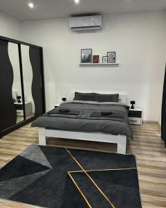 Fotografija u galeriji objekta Central Apartments u Zaječaru