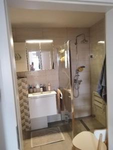 W łazience znajduje się prysznic, umywalka i toaleta. w obiekcie Mieszkanie 63 m w Kudowie Zdroju