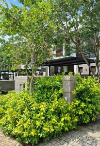 a hedge of green plants with trees and a building at Still Waters - A Cottage by the Lake! in Boralesgamuwa