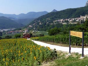 Ảnh trong thư viện ảnh của Country House Le Grazie ở Serra San Quirico