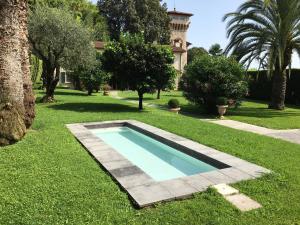 a swimming pool in the grass in front of a house at Spazio d'arte relais in Pietrasanta