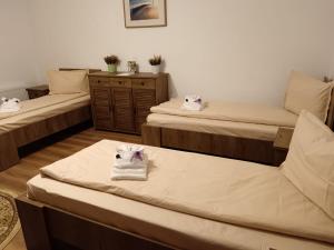 Ένα ή περισσότερα κρεβάτια σε δωμάτιο στο Casa Pelerinului