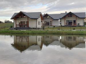 a row of houses next to a body of water at Pstrągowe Zacisze in Korczyna