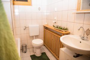 a small bathroom with a toilet and a sink at Katschwaldhütte in Sankt Wolfgang