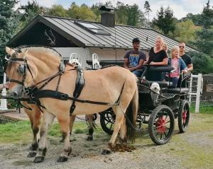 Hosté ubytování Pension Stern