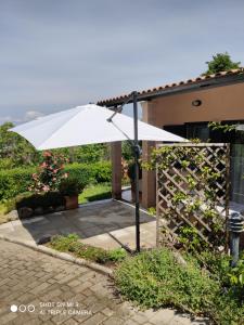Vonkajšia záhrada v ubytovaní Un Giardino sul Lago + 31 fotografií
