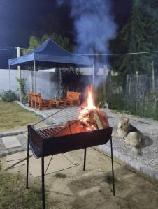 a grill with a dog laying next to a fire at Casa contenedor super cómoda in La Floresta
