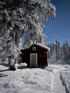 a cabin in the snow next to a tree at Tiny House in Nattavaara by in Nattavaara