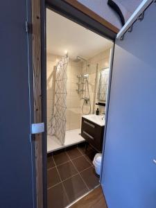 阿爾杜維茲的住宿－Ski Sun，带淋浴和盥洗盆的浴室