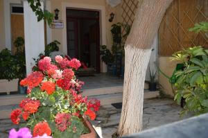 A garden outside Vanessa Studios