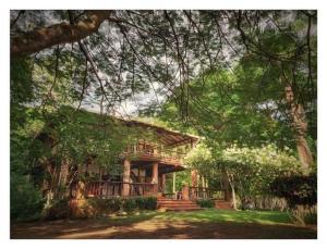a large wooden house with a deck in the trees at Hotel Ceiba Bonga in Acanti