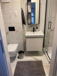 a bathroom with a sink and a toilet and a mirror at Apartment Prague Center in Prague