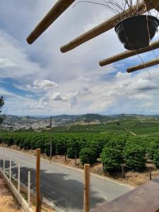 Blick auf einen Weinberg und eine Straße in der Unterkunft Pousada Fazendinha Alto da Serra in Serra Negra