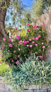 un ramo de flores rosas delante de una valla en Foglie d'Argento, en Moneglia