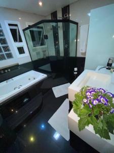 a bathroom with a sink and a plant in a tub at Casa em São Roque Roteiro do Vinho in São Roque