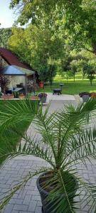 a potted plant sitting on a patio in a park at Kékkút Cottage in Nagyvisnyó
