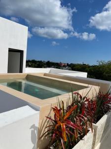 a swimming pool on the roof of a house with plants at DOI 45 Apartment in Playa del Carmen