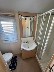 a bathroom with a toilet and a sink and a shower at Cuddfan in Llanrhystyd