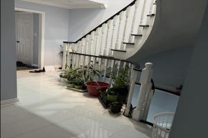 a hallway with a staircase with potted plants at Cozy Delux-Shay-101 in Pickering