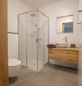 uma casa de banho com um chuveiro, um WC e um lavatório. em Barn24 - The Stable & The Loft em Roggel
