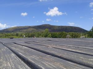 an empty roof with a mountain in the background at La pausa in Piriápolis +17 photos