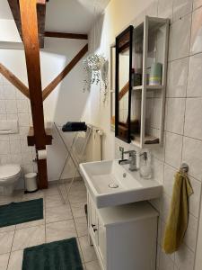 ein Bad mit einem Waschbecken und einem Spiegel in der Unterkunft Hansecottage in Stockelsdorf