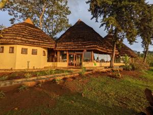 a house with a thatched roof at Cwmbale Eco-Safari Lodges, Restaurant and Zoo. in Mbale