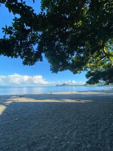 uma vista para a praia de debaixo de uma árvore em Nana's Beach Surigao em Surigao