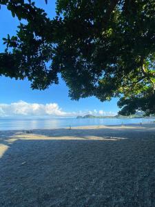 a view of the beach from under a tree at Nana's Beach Surigao in Surigao