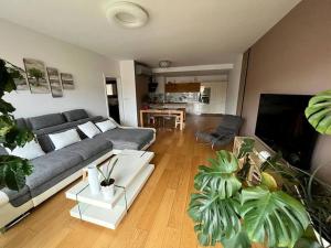 a living room with a couch and some plants at Apartment in historical center with park view in Plzeň