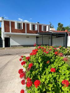 a bed of red flowers in front of a house at Almma Mia in Godoy Cruz