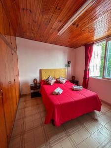 a bedroom with a bed with a red bedspread at Almma Mia in Godoy Cruz