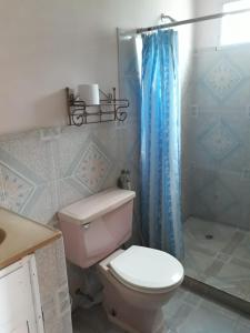 a bathroom with a toilet and a blue shower curtain at La Casa de Eyi 