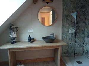 ein Bad mit einem Waschbecken und einem Spiegel in der Unterkunft la grande ourse in Planay