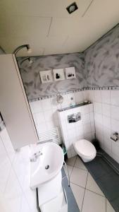 bagno con servizi igienici e lavandino di Hollestübchen a Lichtenau