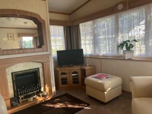 a living room with a fireplace and a television at Heavenly Retreat in Lampeter