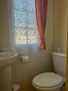 baño con aseo y lavabo y ventana en Heavenly Retreat, en Lampeter