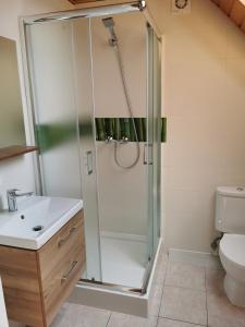 a bathroom with a shower with a sink and a toilet at Dom Wczasowy Radość in Rewal