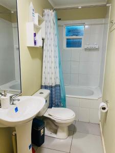 瓦爾迪維亞的住宿－Casas Cartes，一间带卫生间和水槽的浴室