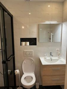 a bathroom with a toilet and a sink at Studio cosy au centre de Couvet in Couvet