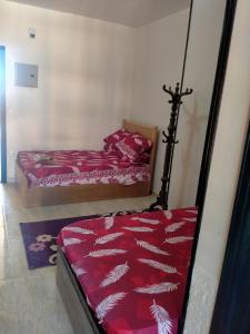 Fotografie z fotogalerie ubytování طيبة ريزورتE10 v destinaci Hurghada