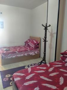 Fotografie z fotogalerie ubytování طيبة ريزورتE10 v destinaci Hurghada