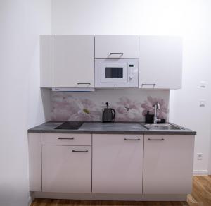 Een keuken of kitchenette bij Helen New Apartments Chain Florenc Prague