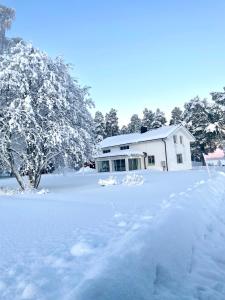 einen schneebedeckten Hof mit einem Haus im Hintergrund in der Unterkunft Lantligt boende in Luleå