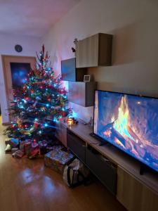 choinkę świąteczną w salonie z telewizorem w obiekcie Apartman Self check in/out Vrchlabi w Vrchlabi