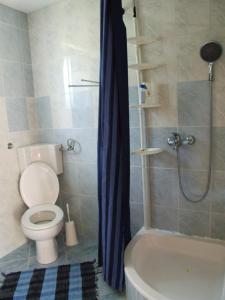 Salle de bains dans l'établissement Apartment Metlača