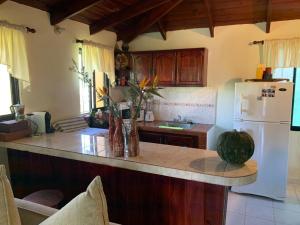 a kitchen with a counter and a white refrigerator at Villa Fe Esperanza - Vistas al Valle de Constanza in Constanza