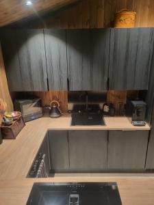 uma cozinha com armários pretos e um lavatório em Arctic Sealodge Malangen cabin 4 Sæterbergan 