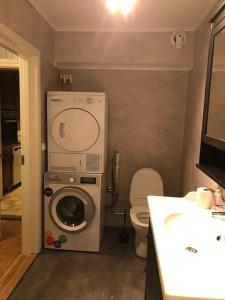 een badkamer met een wasmachine en een toilet bij 8 bed house in Vik, Åre in Åre